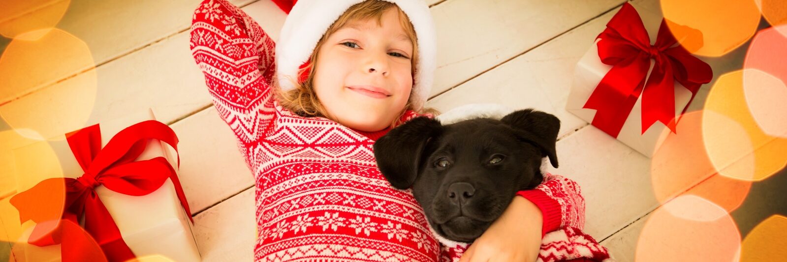 Geschenkidee Tier Hund Katze