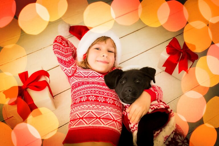 Geschenkidee Tier Hund Katze